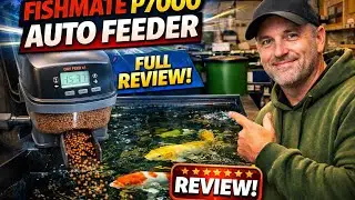 Fishmate P7000 Fish Feeder Review | Best budget  Automatic Feeder for Koi Carp? #fishfeeding
