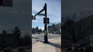Bike traffic signal | #shorts