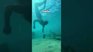 Парень подружился с осьминогом 😃 (___matt.h)