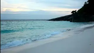 THE ROAR OF THE SEA ~ Didi Shannon Burcklay [Relaxing Sea Waves Sound]