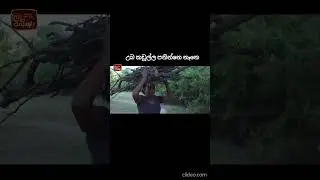 උබෙ බර සැහැල්ලු කරන්නද? (sakarma part 1) #sinhalateledrama #sinhalahits
