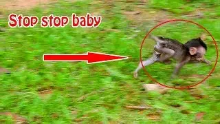 STOP STOP BABY|Wondering tiny baby Charlee run-run leave her mom|Carla surprise run to stop her baby
