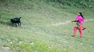 traditional village life in bangladesh । Natural Scenery  । Beautiful Village Girl Goat Service