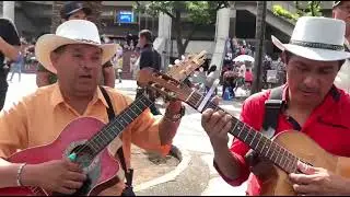Cuál ave triste los autenticos del ritmo 