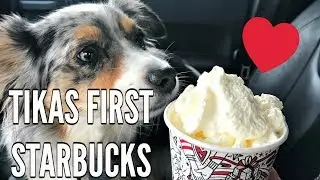 Pupachinos + Fitness + Fashion Haulage | MEL WEEKLY #48