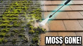 3 Roofs, 1 Incredible Steam Clean! 🔥 Watch the Moss Disappear