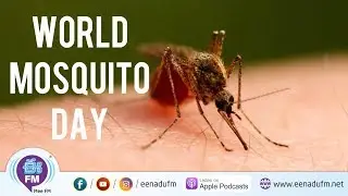 Malaria spread by Mosquitos | Sir Ronald Ross Institute of Parisitolgy | Eenadu