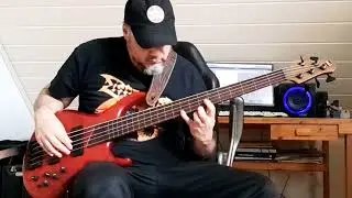 Lord of the Rings - The Shire (Bass Cover)