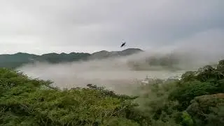 The Panama canal is a special place!!