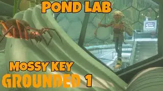 Pond Lab & Mossy Key - Grounded 1 - Part 7