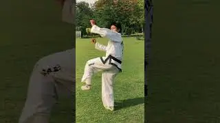 #taekwondo #kick Comment for next kick tutorial?