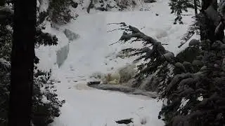 Kilmarnock Gibson Creek Waterfall is frozen over.