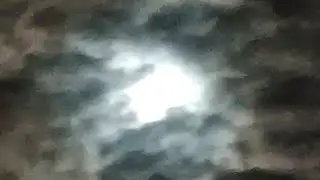Image of the Beast 