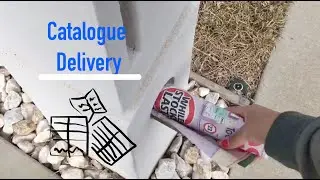 Side job as a catalogue delivery