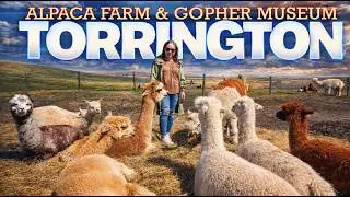 TORRINGTON, ALBERTA: Canada's Quirkiest Hamlet (Alpacas , Gophers and more!!!)