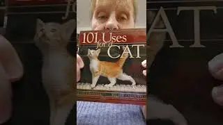 101 uses for a cat by Andrea donner Bed time stories #cute #cat