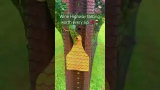 Wine tasting and a family escape to Georgia&rsquo;s wine country.This is what I call balance. #WineHighway