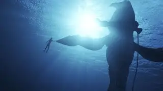 Ocean & Tulkun (Suite) | Avatar: The Way of Water (OST) by Simon Franglen