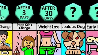 Timeline: What If Human Eat Dog Food