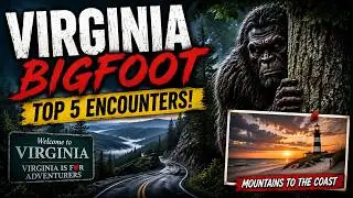 Virginia Bigfoot Sightings -Top 5 ! Blue Ridge Mountains, Shenandoah are Cryptid Hotspots