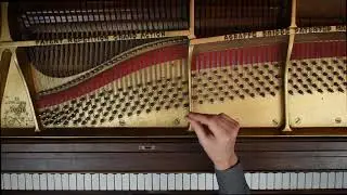 Alex Weimann Topics in Music   Temperament & PitchThe Basics