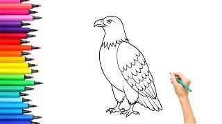 How To Draw Bald Eagle 🦅