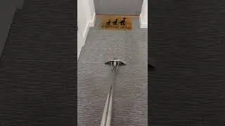 Communal carpet cleaning - HEAVILY SOILED! Check the colour difference!! 📸