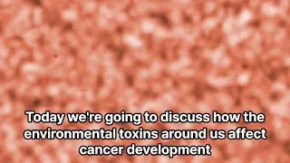 Avoid Environmental Toxins for Cancer #cancer #health #environmentaltoxins #cancerprevention