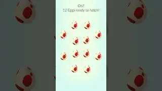 Hundo Hatch Incoming 🙌🏼 #Pokemon #Hundo #ShortsFeed