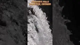 Close Up Side View Of Webster's Falls 😌 Relaxing Waterfall Sound ASMR 💧 Hamilton, Ontario, Canada 🇨🇦