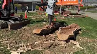 Quick Demo of the HF-400 Cone Splitter at a Recent 2024 Show