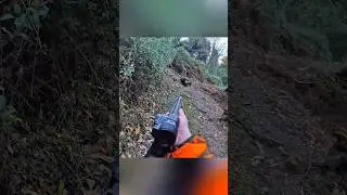Точный выстрел по дикому кабану | Настоящая охота#охотанакабана#кабан#охота#выстрел#дикаяприрода