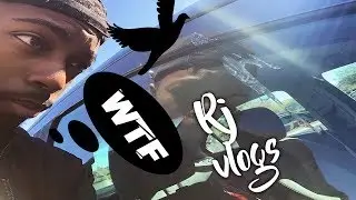 VLOGMAS 2018 l Funny Bird Didn't Like MY CAR! Ep.1