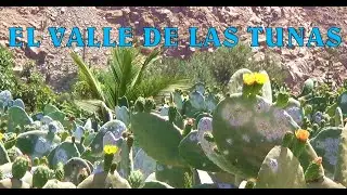 Cuculi y Piedra Grande - El Valle de Las Tunas - Huarochiri
