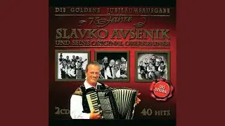 Zwei weiße Schwäne