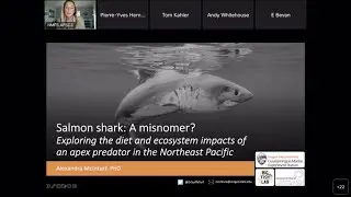 2022 AFSC Groundfish Seminar Series #5: Salmon Shark: A Misnomer? Exploring Diet & Ecosystem Impacts
