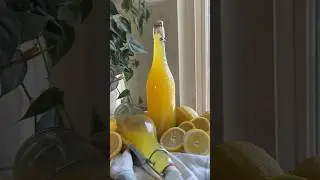 DIY Limoncello Recipe