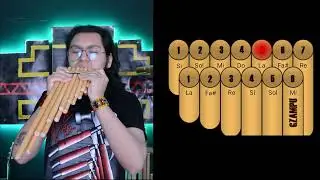 AUQUI AUQUI ( TUTORIAL/COVER ) BY MISHA MALLEA