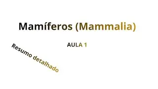 Mamíferos (Mammalia) Aula 1