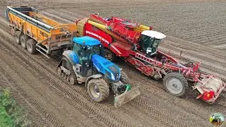 🥔GRIMME VARITRON 470 & T8.435 SMARTTRAX ! ARRACHAGE DE POMMES DE TERRE 2020 ! LesBFagri's