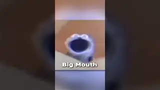 What 