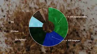 Deer Creek Seed Wetland Waterfowl Food Plot Mix