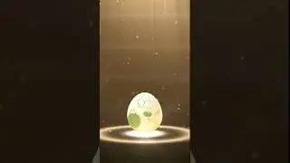 2 km Egg hatch #shorts #youtubeshorts #shortsfeed #pokemongo #pogoshout