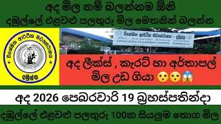 Today Dambulla Market vegetables & fruit wholesale prices list 2026.02.19 දඹුල්ලේ තොග මිල බලන්න