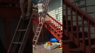 DIY ladder safety and painting #wineisforentertainmentpuposesonly