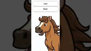 Animals & insects sound Name