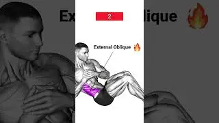 Guide to Effective 💪 abs Workout for a Sculpted midsection #subscribe #shortsvideo #workout