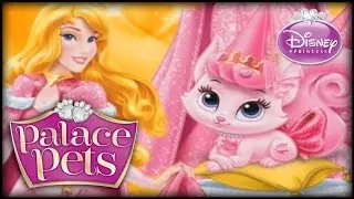 Disney Princess Palace Pets - Aurora & Beauty Dress Up (Game for Kids)