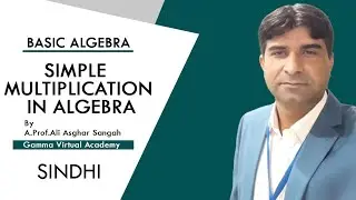 Simple Multiplication in Algebra (Sindhi)