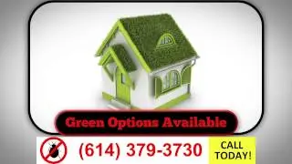 24 Hour Emergency Pest Control Columbus Ohio | (614) 379-3730